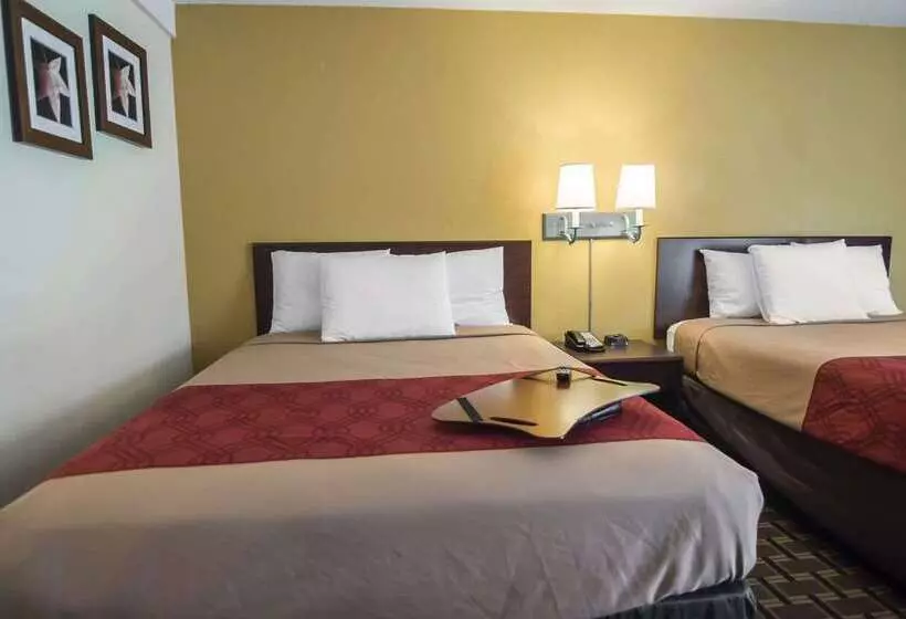 Hotelli Super 8 By Wyndham Albuquerque Downtown