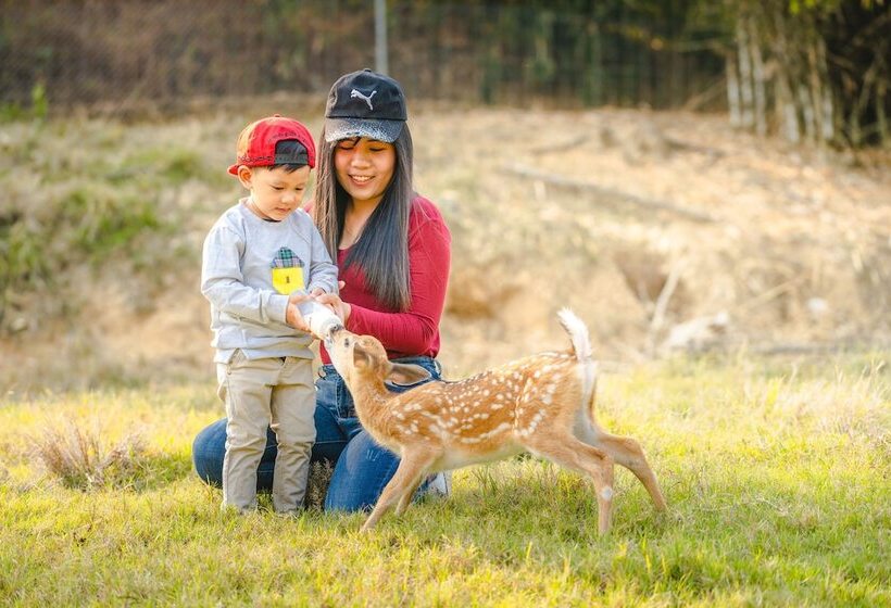 Otel Katiliya Mountain Resort And Spa