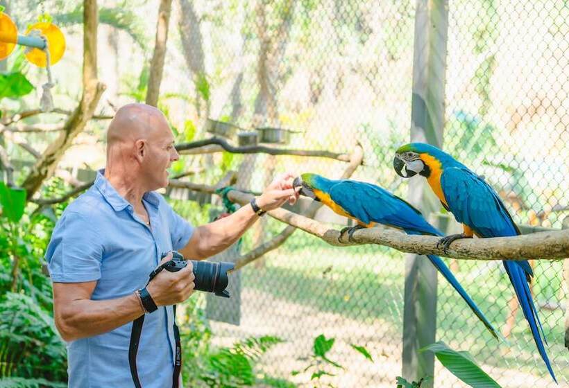 Otel Katiliya Mountain Resort And Spa