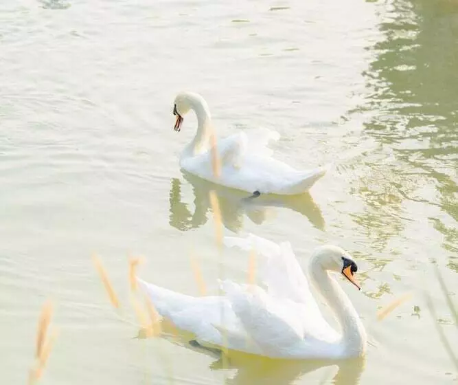 Hotelli Katiliya Mountain Resort And Spa