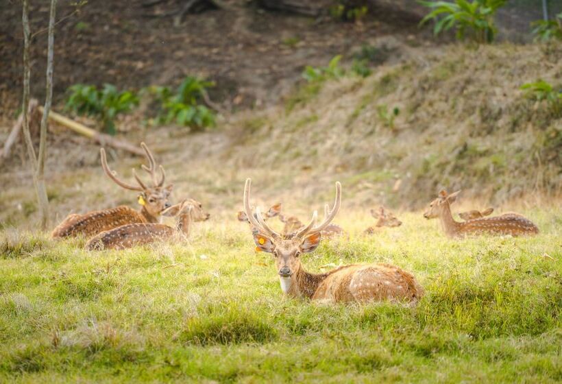 Otel Katiliya Mountain Resort And Spa