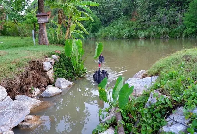 Hotelli Katiliya Mountain Resort And Spa