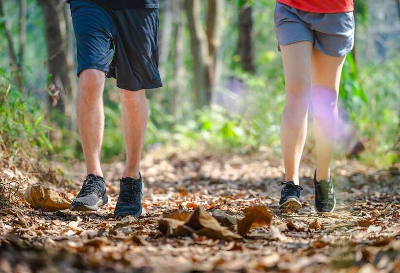 Otel Katiliya Mountain Resort And Spa