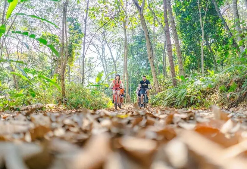 Hotelli Katiliya Mountain Resort And Spa