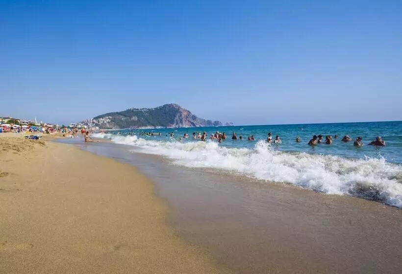 בית מלון כפרי Kleopatra Royal Palm