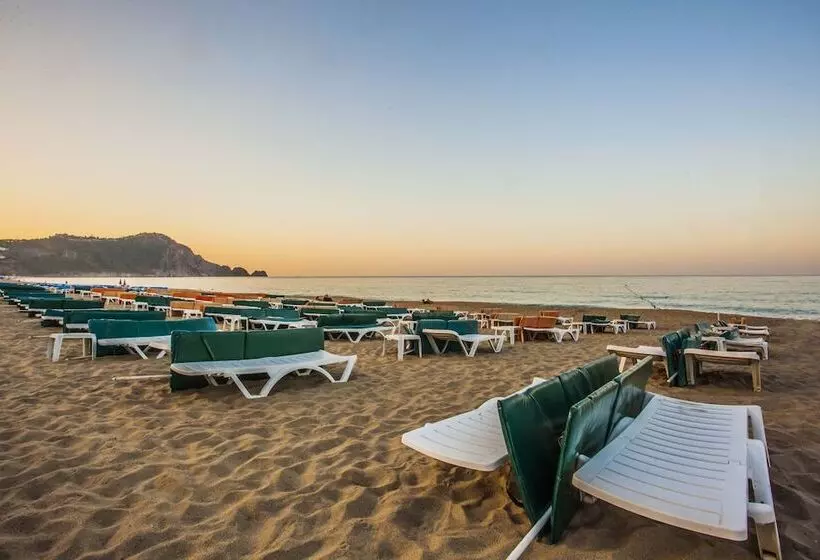 בית מלון כפרי Kleopatra Royal Palm