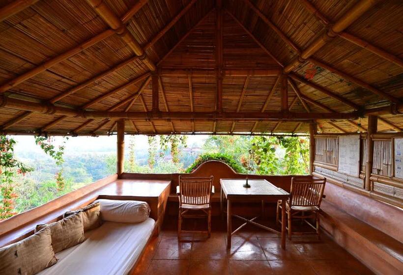 فندق Phu Chaisai Chiang Rai Mountain Resort