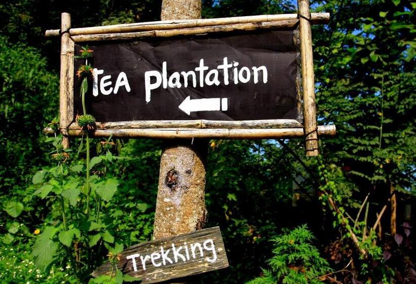 فندق Phu Chaisai Chiang Rai Mountain Resort