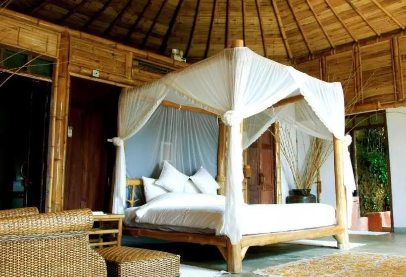 فندق Phu Chaisai Chiang Rai Mountain Resort