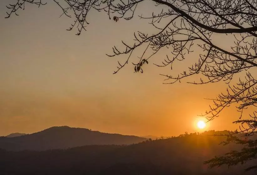 فندق Phu Chaisai Chiang Rai Mountain Resort