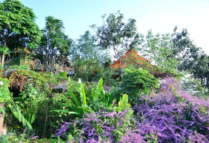 فندق Phu Chaisai Chiang Rai Mountain Resort