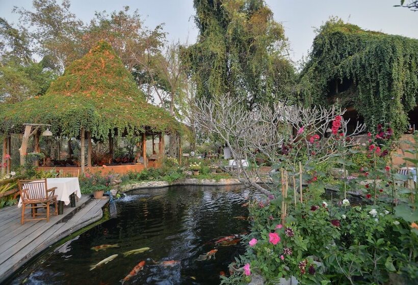 فندق Phu Chaisai Chiang Rai Mountain Resort