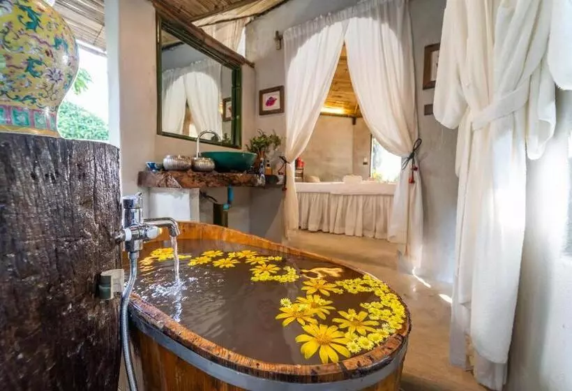 فندق Phu Chaisai Chiang Rai Mountain Resort