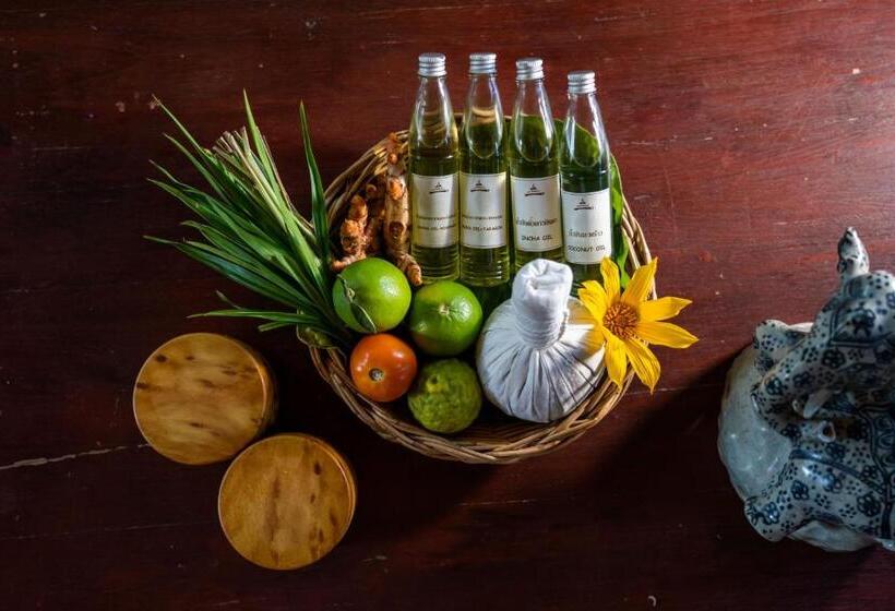 فندق Phu Chaisai Chiang Rai Mountain Resort