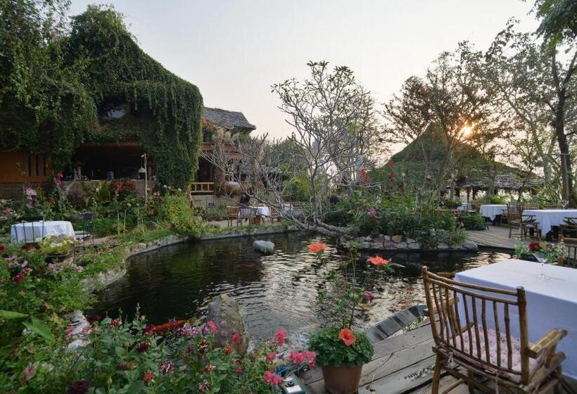 فندق Phu Chaisai Chiang Rai Mountain Resort