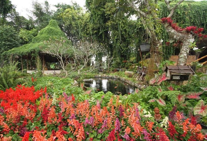 فندق Phu Chaisai Chiang Rai Mountain Resort