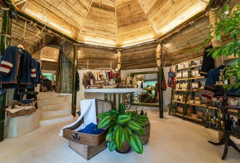 فندق Phu Chaisai Chiang Rai Mountain Resort