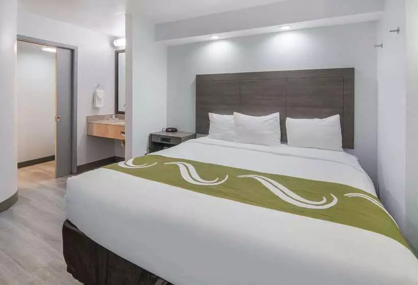 ホテル Quality Inn & Suites Richardsondallas