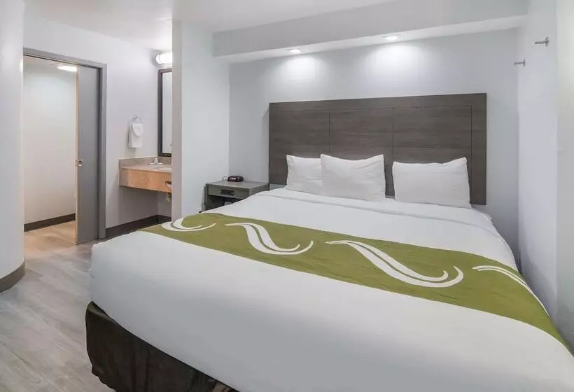 ホテル Quality Inn & Suites Richardsondallas