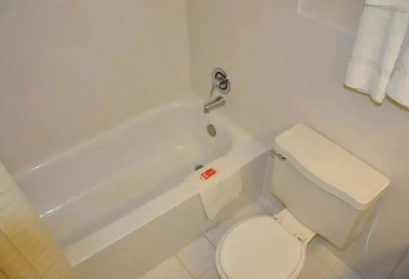 هتل Airport Inn Flint