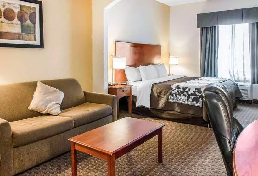 호텔 Sleep Inn & Suites