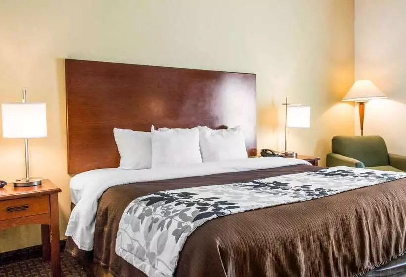 호텔 Sleep Inn & Suites