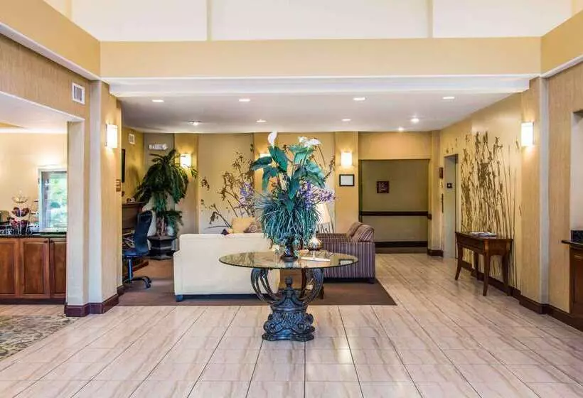 호텔 Sleep Inn & Suites