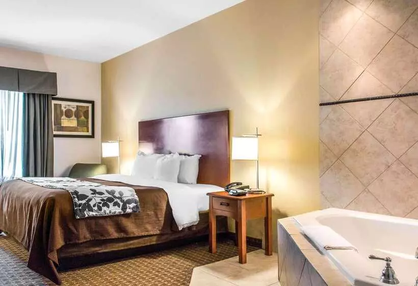 호텔 Sleep Inn & Suites