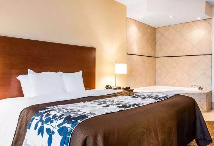 호텔 Sleep Inn & Suites