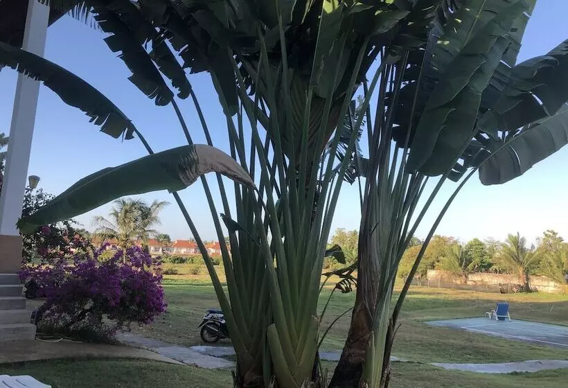 Nadivana Serviced Apartments