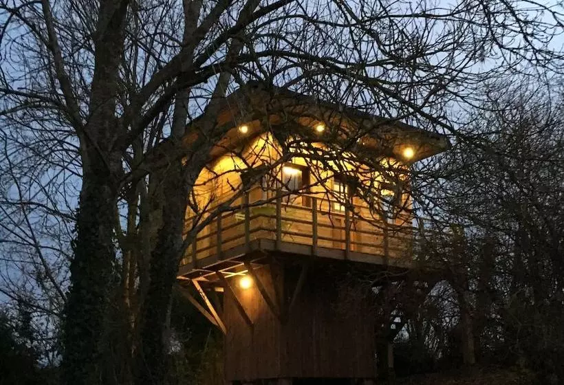 Cabane Perchée