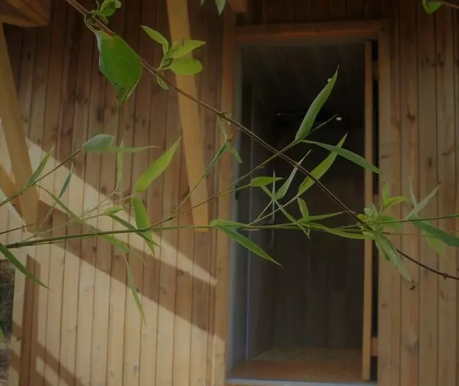 Cabane Perchée