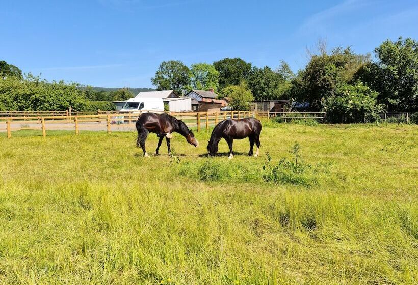Glamping At The Homestead   Ensuite Bell Tent