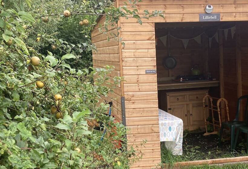 Glamping At The Homestead   Ensuite Bell Tent