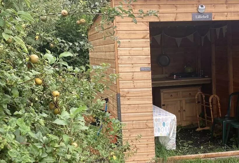 Glamping At The Homestead   Ensuite Bell Tent