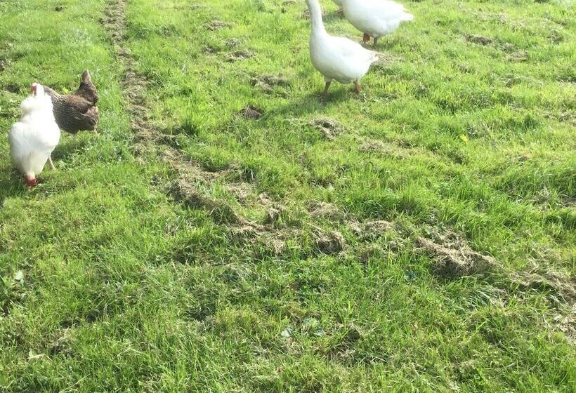 Impeccable Cottage Suitable For 2 Adults & 1 Child