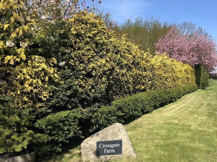 Impeccable Cottage Suitable For 2 Adults & 1 Child