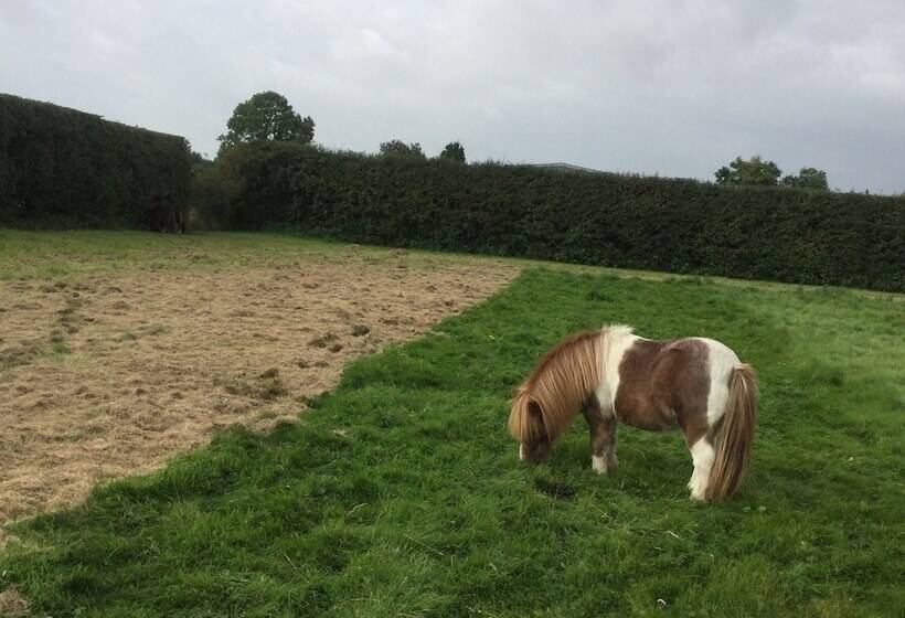 Impeccable Cottage Suitable For 2 Adults & 1 Child