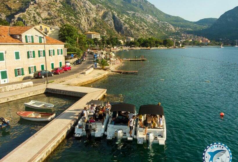 Montenegro Hostel 4u