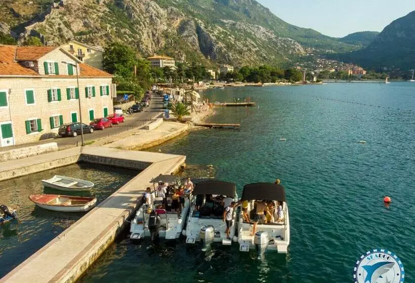 Montenegro Hostel 4u