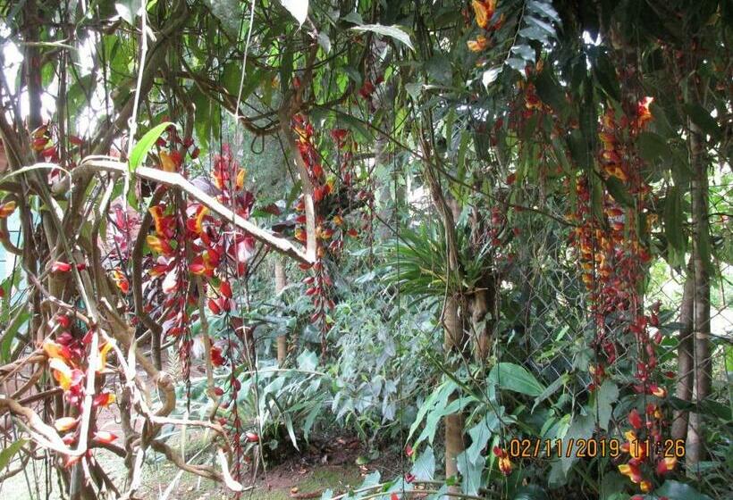 膳宿费 Chalé Dos Gnomos