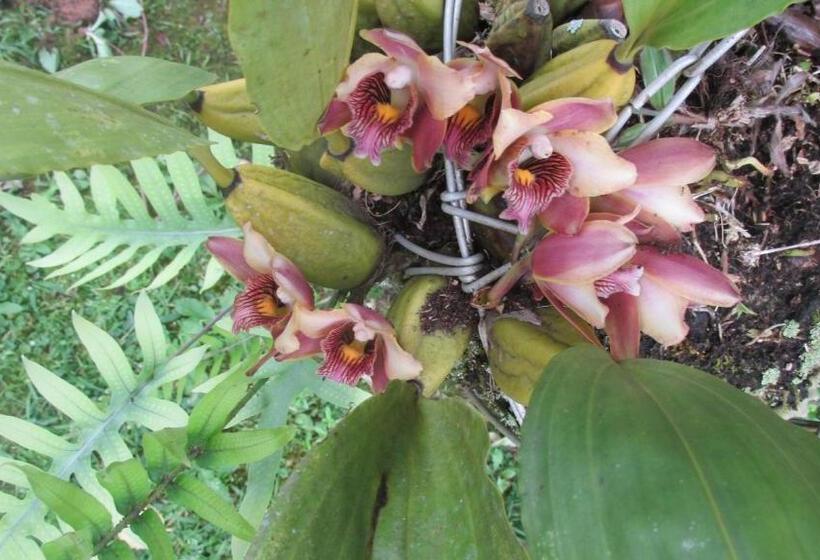 膳宿费 Chalé Dos Gnomos