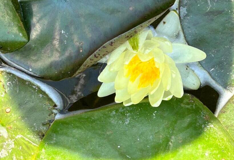 Majatalo Vila Maricris