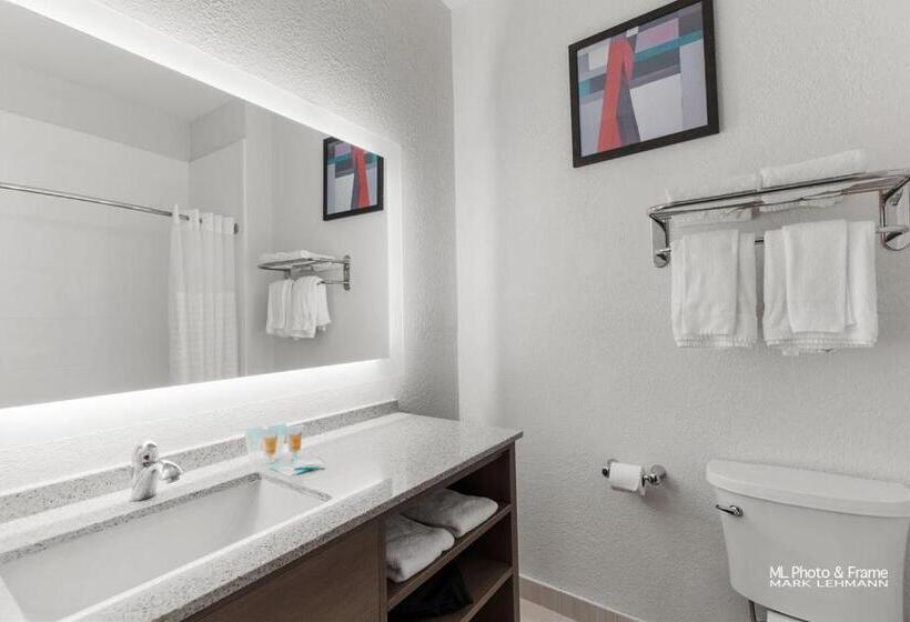 Hotel Comfort Suites