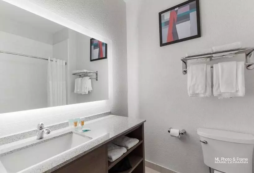 Отель Comfort Suites