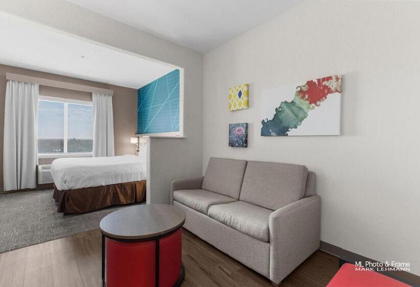 Hotel Comfort Suites