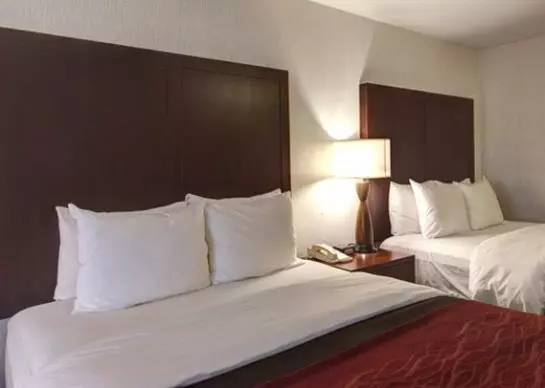 ホテル Comfort Inn And Suites Portland Airport