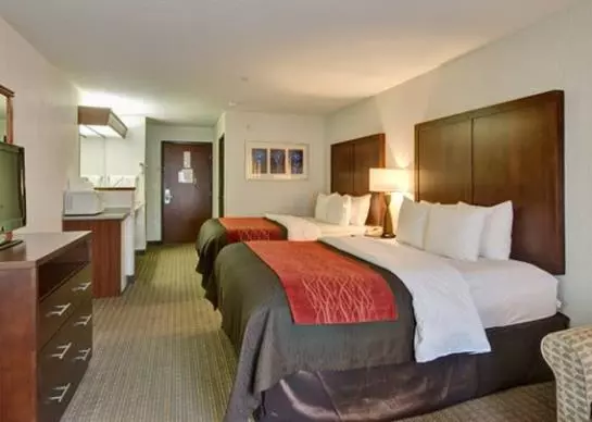 ホテル Comfort Inn And Suites Portland Airport