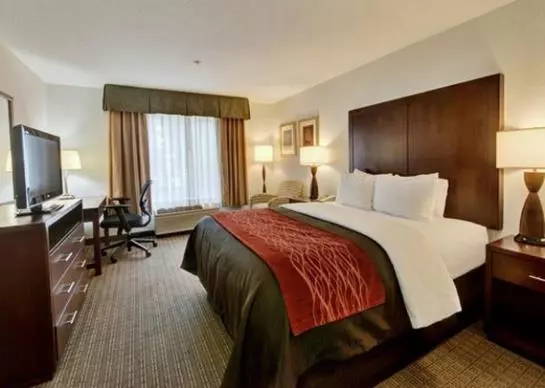ホテル Comfort Inn And Suites Portland Airport