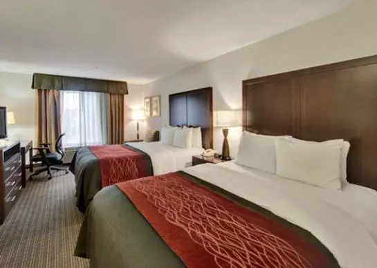 ホテル Comfort Inn And Suites Portland Airport